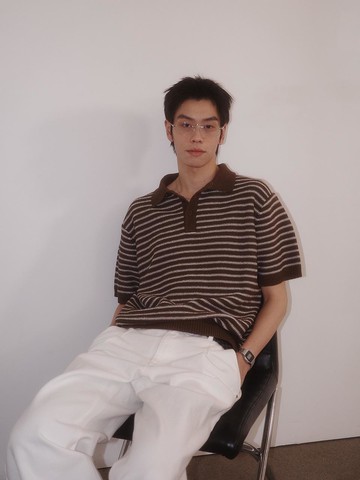 Men's Striped Half Collar Knit [Brown] (SBE2M05011)