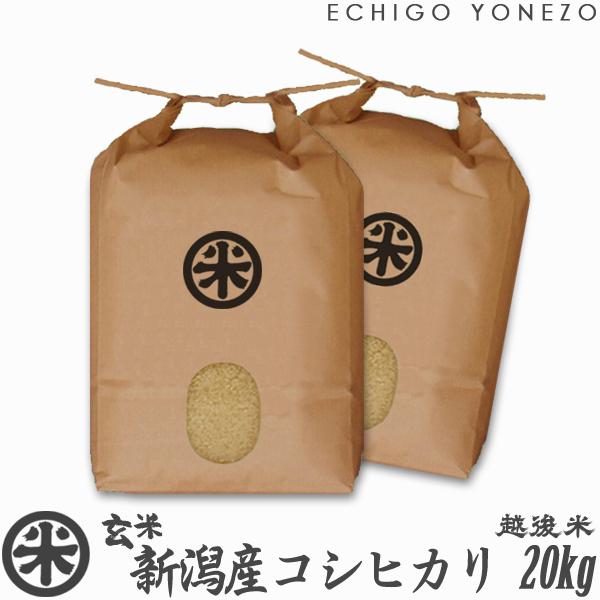 [新米 令和5年産] 玄米 新潟産コシヒカリ 20kg (5kg×4袋) 新潟米 お米 新潟県産 こしひかり 堀商店 送料無料 ギフト対応