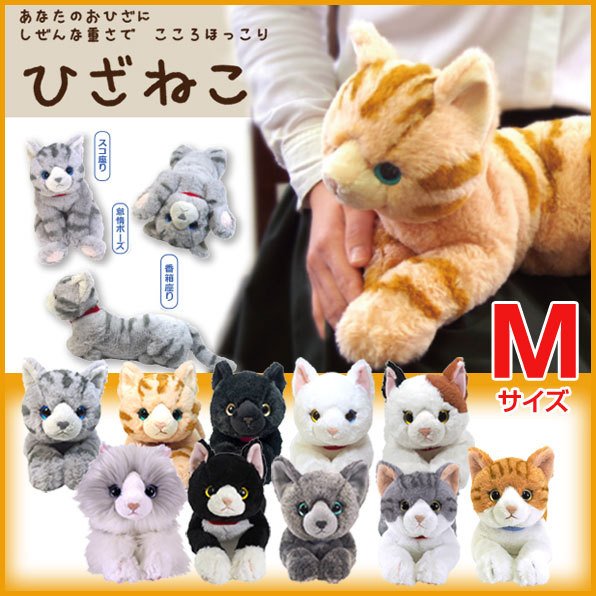 ひざねこ ぬいぐるみm ひざネコ ねこ 猫 おもちゃ 癒し リアル ネコグッズ ねこグッズ ネコ雑貨 ねこ雑貨 動物 介護用にも ギフト プレゼント 通販 Lineポイント最大0 5 Get Lineショッピング