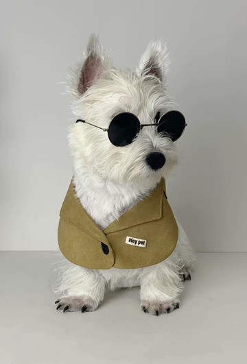 萌帥休閒西服風格 寵物口水巾 圍兜 客製款