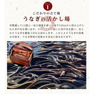 ふるさと納税 浜松市 国産うなぎ蒲焼 160g×5本セット タレ・山椒付