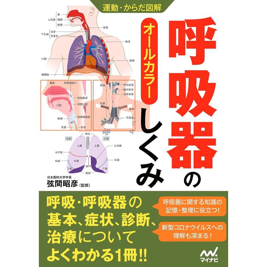 呼吸器のしくみ オールカラー 弦間昭彦