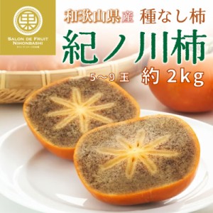 [予約 10月1日～初荷分より順次発送] 紀ノ川柿 5-9玉 約2kg 和歌山県産 秋ギフト 紀の川 和歌山県産のブランド柿 黒あま柿 化粧箱 柿