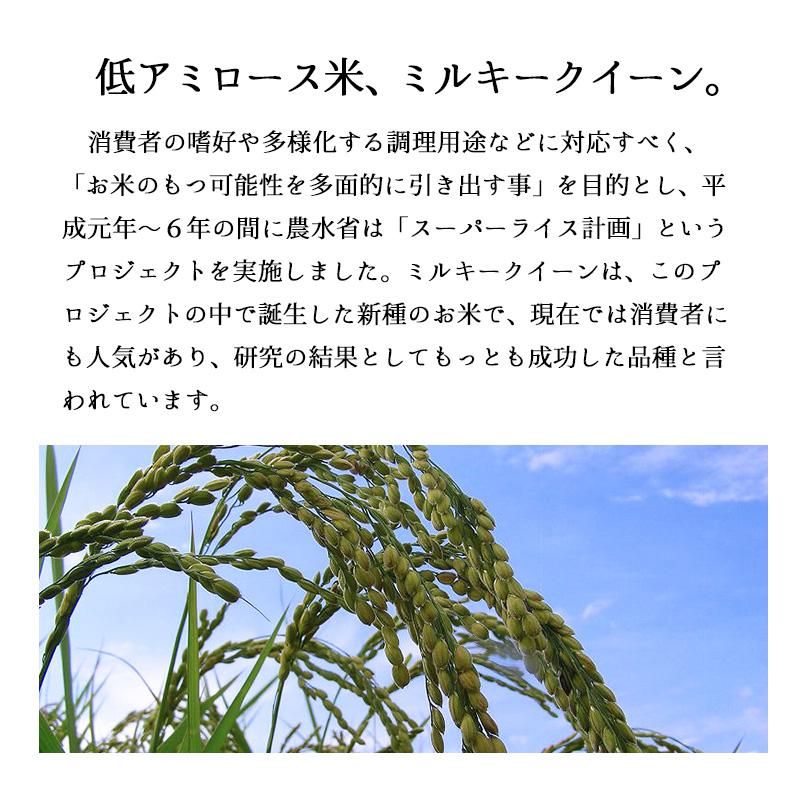 新米 5kg ミルキークイーン お米 新潟産 令和5年産 産直 精米 白米 5キロ