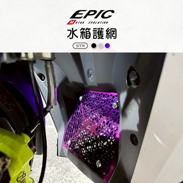 【保護水箱】EPIC 水箱護罩 水箱護蓋 水箱護網 水箱 水箱蓋 白鐵 水箱罩護網 水箱網 適用 STR 250 300