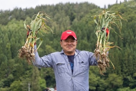 丸美農園 田子産にんにく家庭用バラ 約900g（M～2L）＋黒にんにく 1個