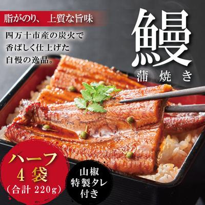 ふるさと納税 四万十市 うなぎ蒲焼　ハーフ4袋 BC