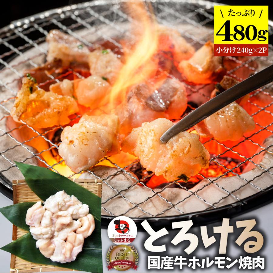 国産牛 ホルモン 480g (240g×2袋) ほるもん 小腸 焼肉用 お得 焼肉 やきにく アウトドア お家焼肉 レジャー 送料無料 冷凍