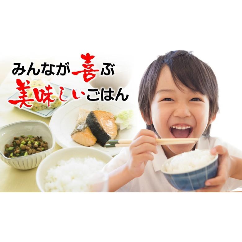 新米 米 お米 あきたこまち 茨城県産 5年産 白米22.5kg 玄米25kg 送料無料 一部地域除く