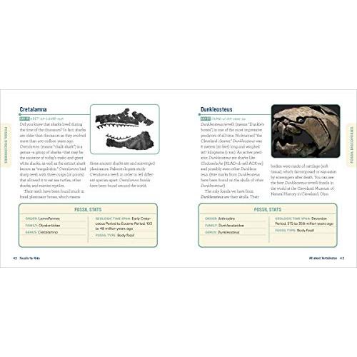 Fossils for Kids: A Junior Scientist's Guide to Dinosaur Bones, Ancient Ani