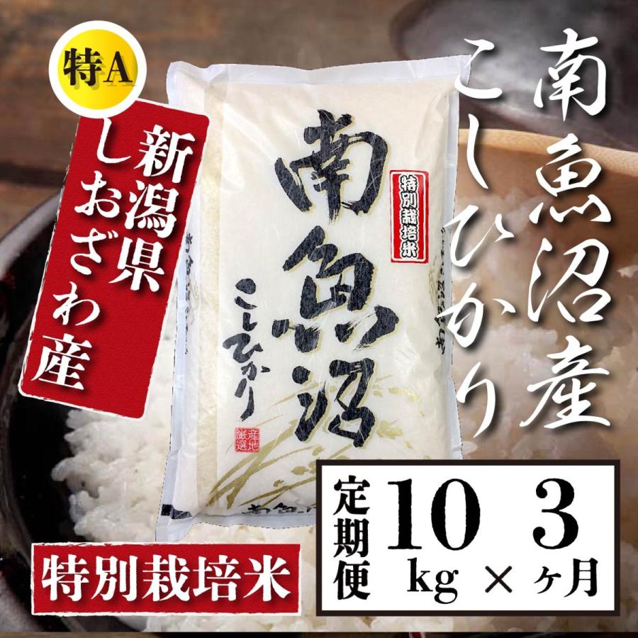  米 10kg 《定期便 3ヶ月》 新潟 南魚沼 塩沢産 コシヒカリ 生産者限定米 令和5年産 