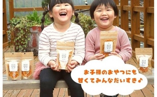 まんまみかんチップ 100g（20g×5袋）無添加 保存料不使用