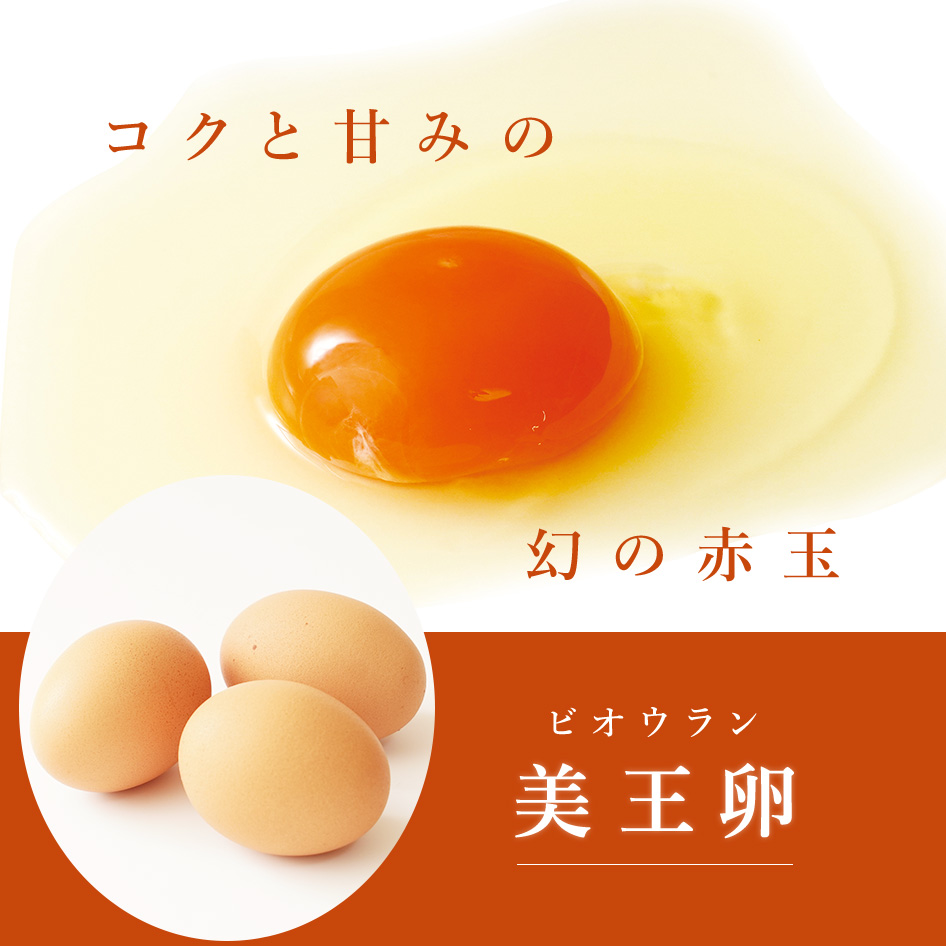 燻製たまご 燻製卵 熟燻卵 6個×2 美王卵 6個×1 セット 燻製玉子 函館物語 燻製 卵 半熟 スモーク たまご 玉子 くんせい お取り寄せ グルメ ギフト