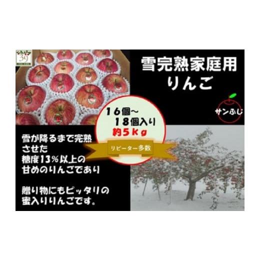 ふるさと納税 青森県 弘前市 11〜12月発送 訳あり 雪完熟 家庭用 サンふじ 約5kg 