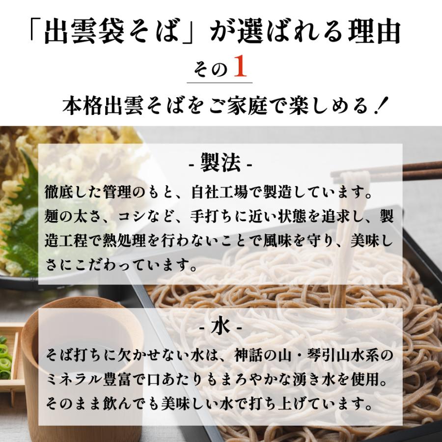 出雲そば 蕎麦 そば お徳用 送料無料 10人前 出雲袋そば 5袋 つゆ付 お取り寄せ グルメ 家庭用