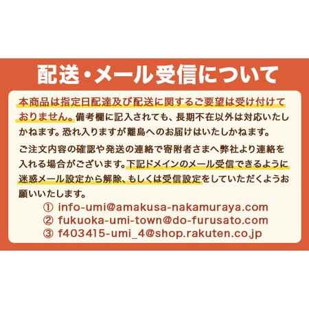 ふるさと納税 昆布漬辛子明太子（無着色）　600g×2　FZ006 福岡県宇美町