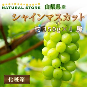   シャインマスカット 約350g 4房 化粧箱 ぶどう 葡萄 山梨県産ほか 秋ギフト 夏ギフト お中元 御中元