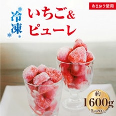 食べ比べ冷凍いちご800g、いちごの冷凍ピューレ800g(朝倉市)
