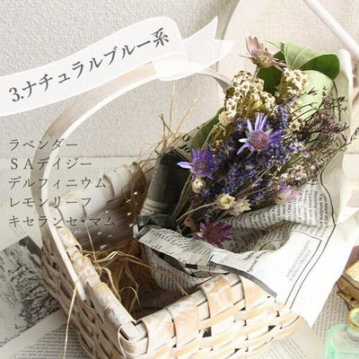 ドライフラワー～カワラハハコ ドライフラワー hanahana 通販
