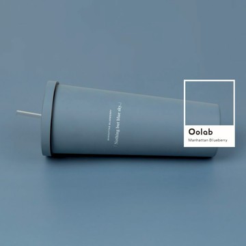 莫蘭迪系列 二代不鏽鋼吸管杯850ml