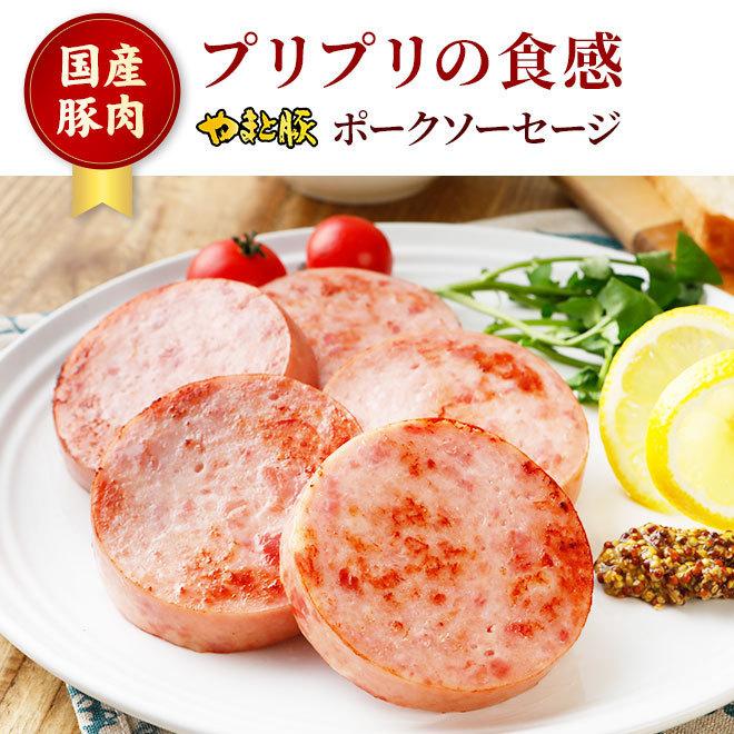 やまと豚 ポークソーセージ 200g [冷蔵] ソーセージ ボロニアソーセージ 肉 お肉 ギフト お取り寄せグルメ おつまみ 食べ物 食品 取り寄せ グルメ お歳暮