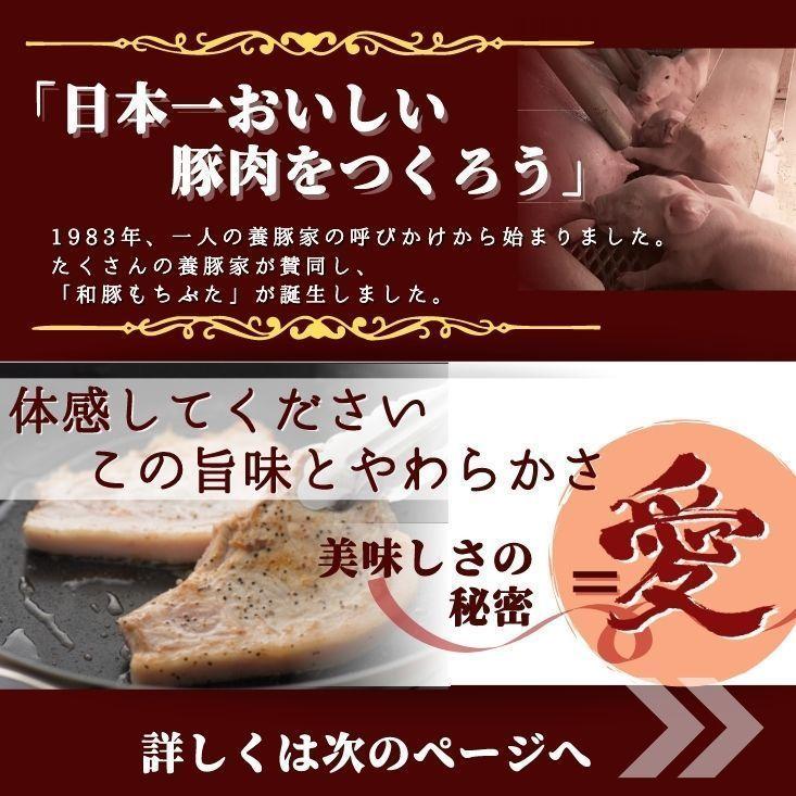 豚 ステーキ 和豚 もちぶた ロース厚切り 120g 8枚 送料無料 とんかつ 国産 冷凍 豚肉 美味しい 焼肉 安心 新潟県 料理 豚 生