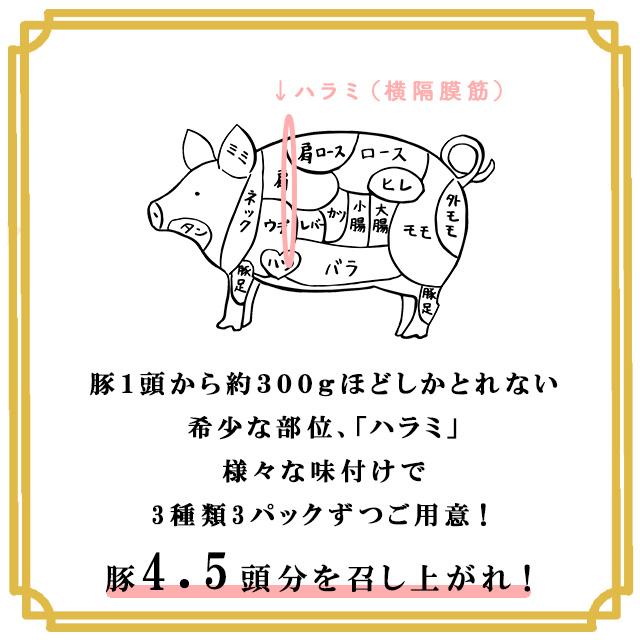 送料無料 冷凍 ジューシー豚ハラミセット 塩胡椒味 150g×3袋 九州味噌味 150g×3袋 にんにく醤油味 150g×3袋 ハラミ 豚肉 希少 味付け惣菜 肉 バーベキュー