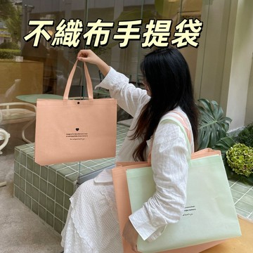 台灣出貨👑不織布手提袋 禮物袋 環保購物袋 手提袋 帶暗釦手提袋 可愛手提袋 禮品袋 無紡布袋子 購物袋 提袋