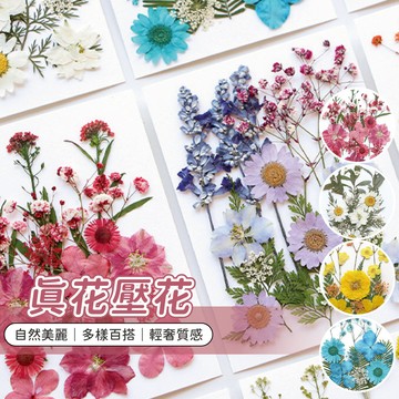 真花壓花 乾燥花DIY DIY水晶滴膠 壓花書籤 乾燥花 創意書籤 書籤