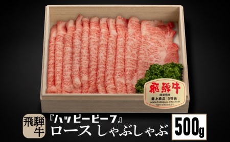 飛騨牛 A5等級 ロース ５００g しゃぶしゃぶ 飛騨牛 ブランド牛 Ａ5ランク ハッピープラス 飛騨高山 TR4091