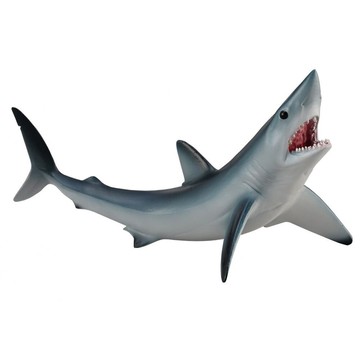 【 COLLECTA 】尖吻鯖鯊