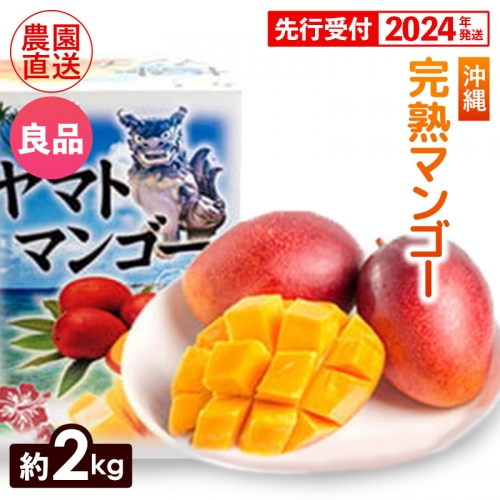 ヤマト農園　完熟マンゴー約2kg（良品）