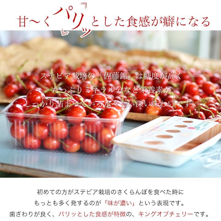  お中元 ギフト さくらんぼ 山形県産 紅秀峰 1kg (500g×2) 秀品 2Lサイズ 大玉 送料無料