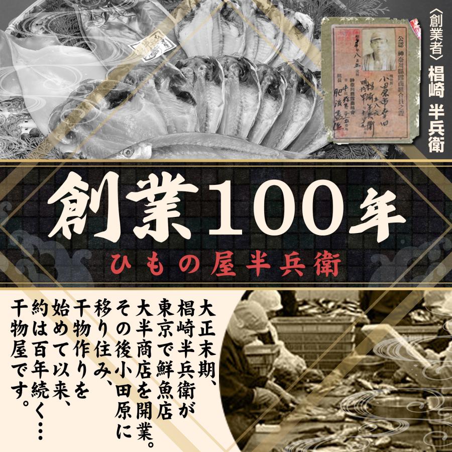 干物 半兵衛セット 5種類 8品 干物セット オリジナル 詰め合わせ お中元 贈答品 お歳暮 お年賀 ギフト プレゼント 自宅用 小田原 送料無料