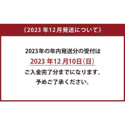 ふるさと納税 熊本県 水上村 厚切り 牛タン 塩味 計1kg 500g×2パック外国産 1kgのみ年内発送