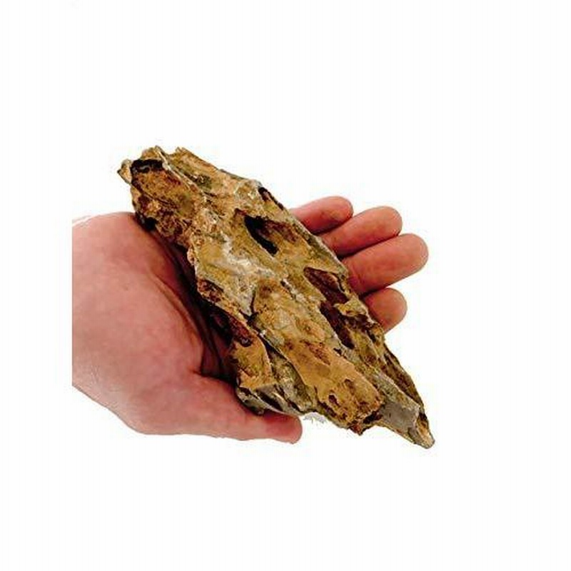 気孔石 黄虎石 蜂炎石 70-150mm 形状お任せ 6個 水槽 花壇