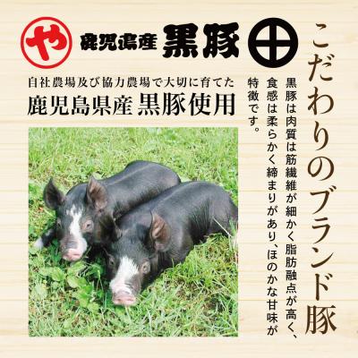 ふるさと納税 南さつま市 鹿児島産黒豚ロースしゃぶしゃぶ用 計2.5kg(500g×5P)