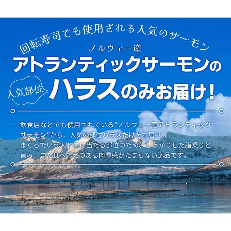 サーモン ハラス 切り落とし 刺身用 生サーモン１ｋｇ（５００ｇ×２パック）サイズ不揃い お値打ち品 トロ 生食 アトランティックサーモン 冷凍