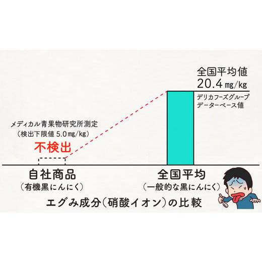 ふるさと納税 高知県 須崎市 化粧箱入り  有機 葉ニンニク と 四万十豚で作った 最高級 餃子 ギフト セット 高知県 須崎市 EA0831