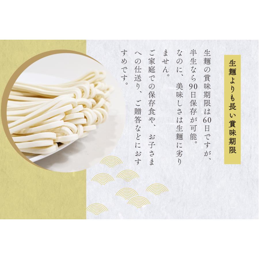 送料無料 半生うどん 9食 （300g×3）麺のみ 讃岐うどん ポイント利用 お試し ポイント消化 ご当地グルメ 食品 産直 おすすめ ポイント消費 食品 お取寄せ 香川