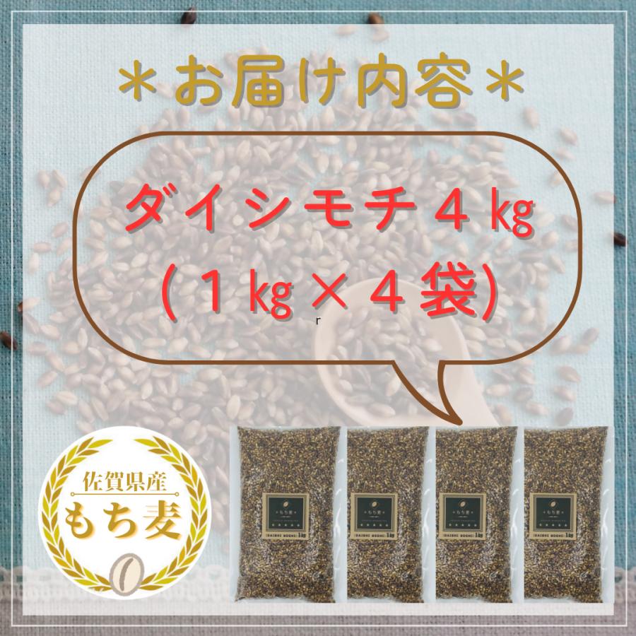 国産　もち麦　ダイシモチ　１kg×４袋　４kg　佐賀県産　ダイエット　食物繊維　アントシアニン　ポリフェノール　腸活　雑穀　米　お米　玄米　大麦