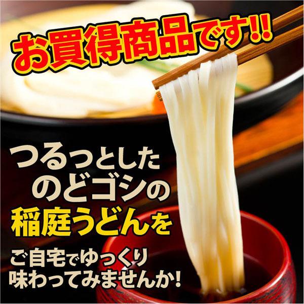 無限堂 稲庭うどん お徳用切れ端麺 750g　