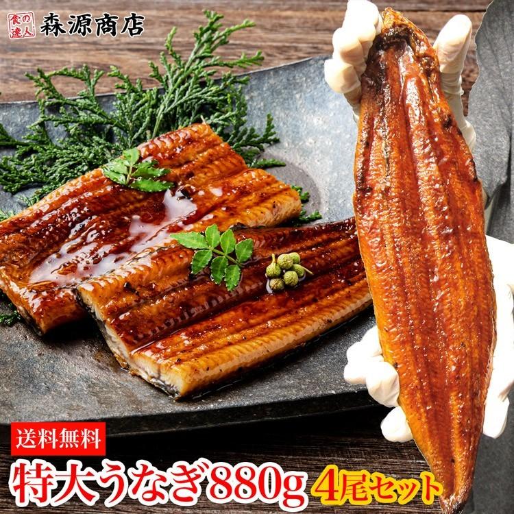 うなぎ 鰻 タレ付き 焼きウナギ 約880g (220g×4尾) 4本 特大 かば焼き 蒲焼き 中国産 冷凍便 ギフト お取り寄せ