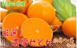柑橘の王様　和歌山の濃厚せとか　約4～5kg※2024年2月下旬～3月下旬頃に順次発送予定※沖縄地域へのお届け不可