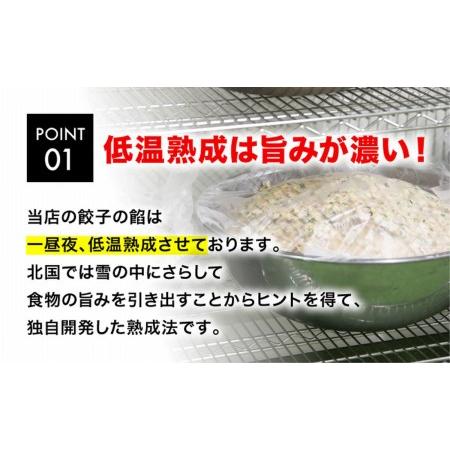 ふるさと納税 「宇都宮餃子館」エビ餃子　960ｇ（４８個）≪ギョーザ 冷凍餃子 冷凍食品 グルメ 食品 惣菜 中華惣菜 点心 中華≫◇ 栃木県さくら市