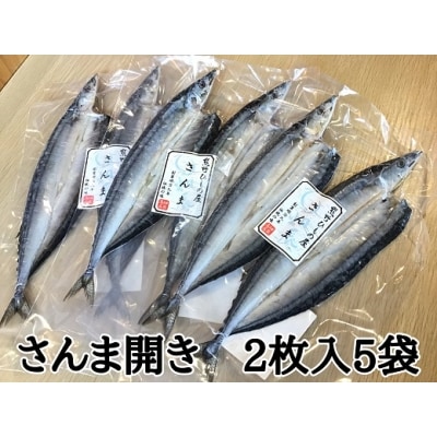 熊野の老舗干物屋　畑辰商店×5袋