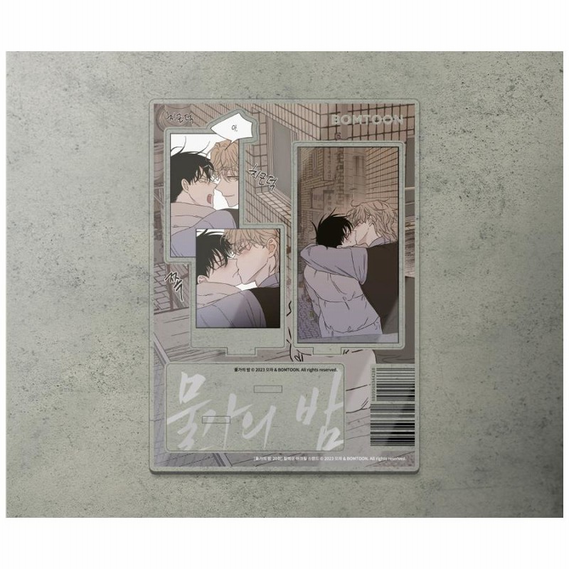 韓国bl シーグリ アクリルスタンド 新品未開封 StrayKids 2025 韓国シーグリ封入 アクスタ スキズ