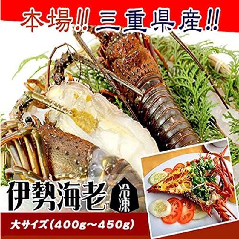 伊勢海老 冷凍（加熱用）大サイズ400 450ｇ １尾 伊勢海老