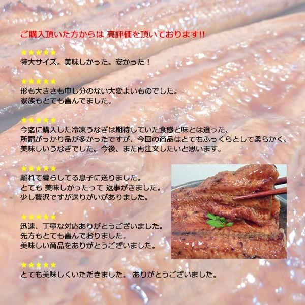 炭火焼 鰻うなぎ蒲焼き ふっくらとろける極旨ウナギ 約30cm超特大 約200g×2尾×3セット 父の日ギフト 土用丑の日 お中元 送料無料