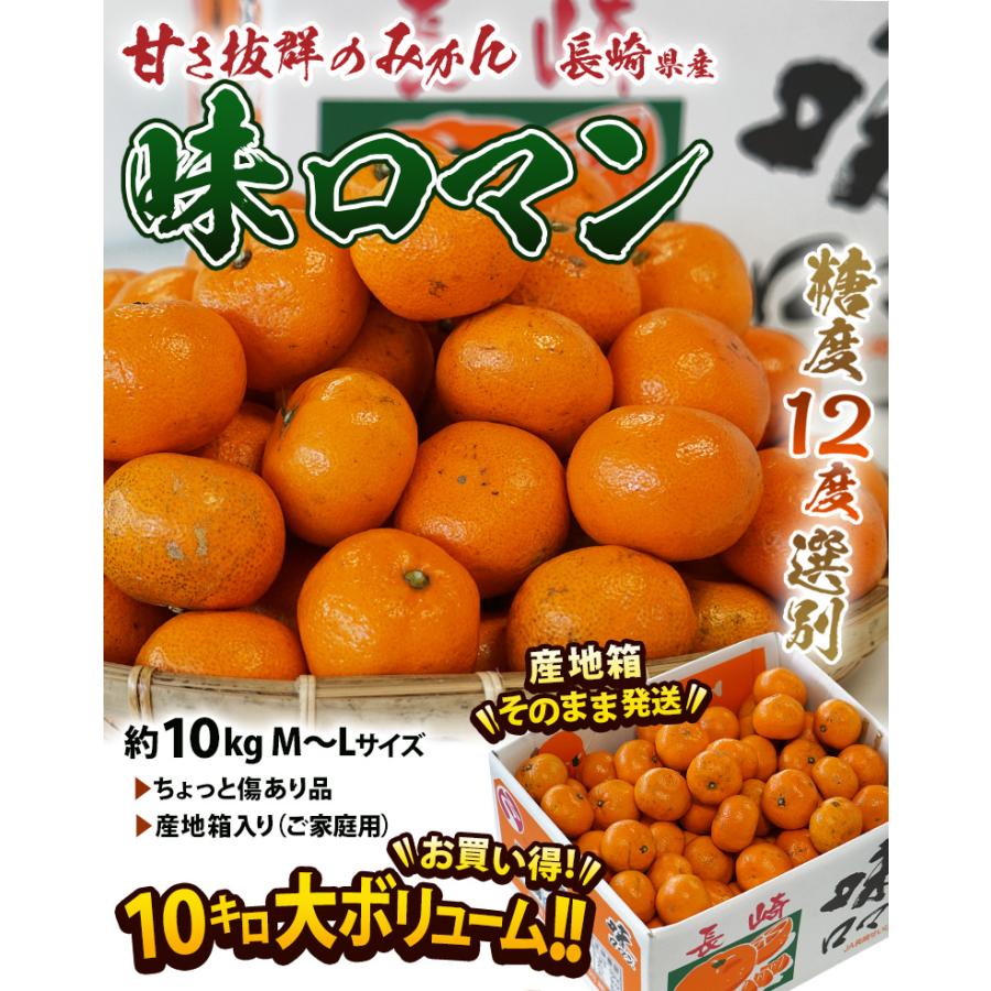 『味ロマン』 JA長崎せいひ M〜Lサイズ 約10kg 産地箱 外皮に傷あり ※常温　送料無料